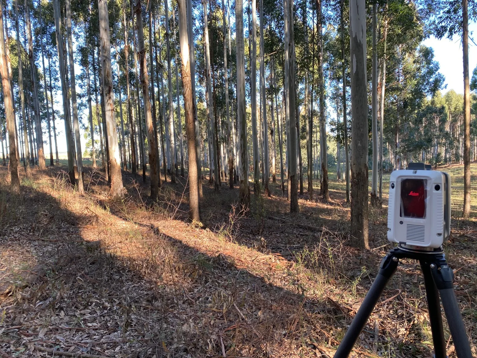 Escaneo LiDAR de monte forestado para inventario forestal
